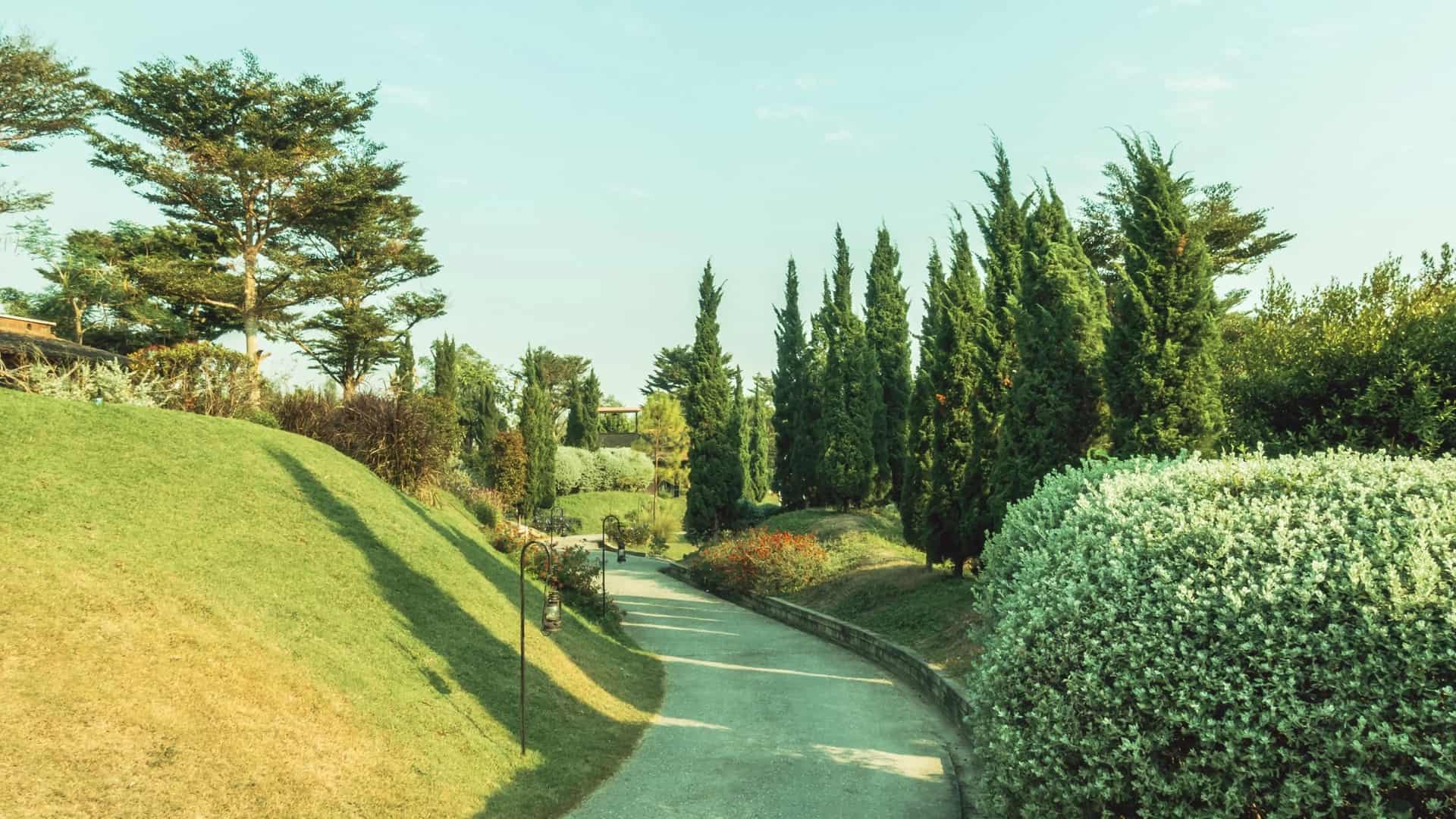 Pest control service in Fort Lauderdale – In Touch Pest Control