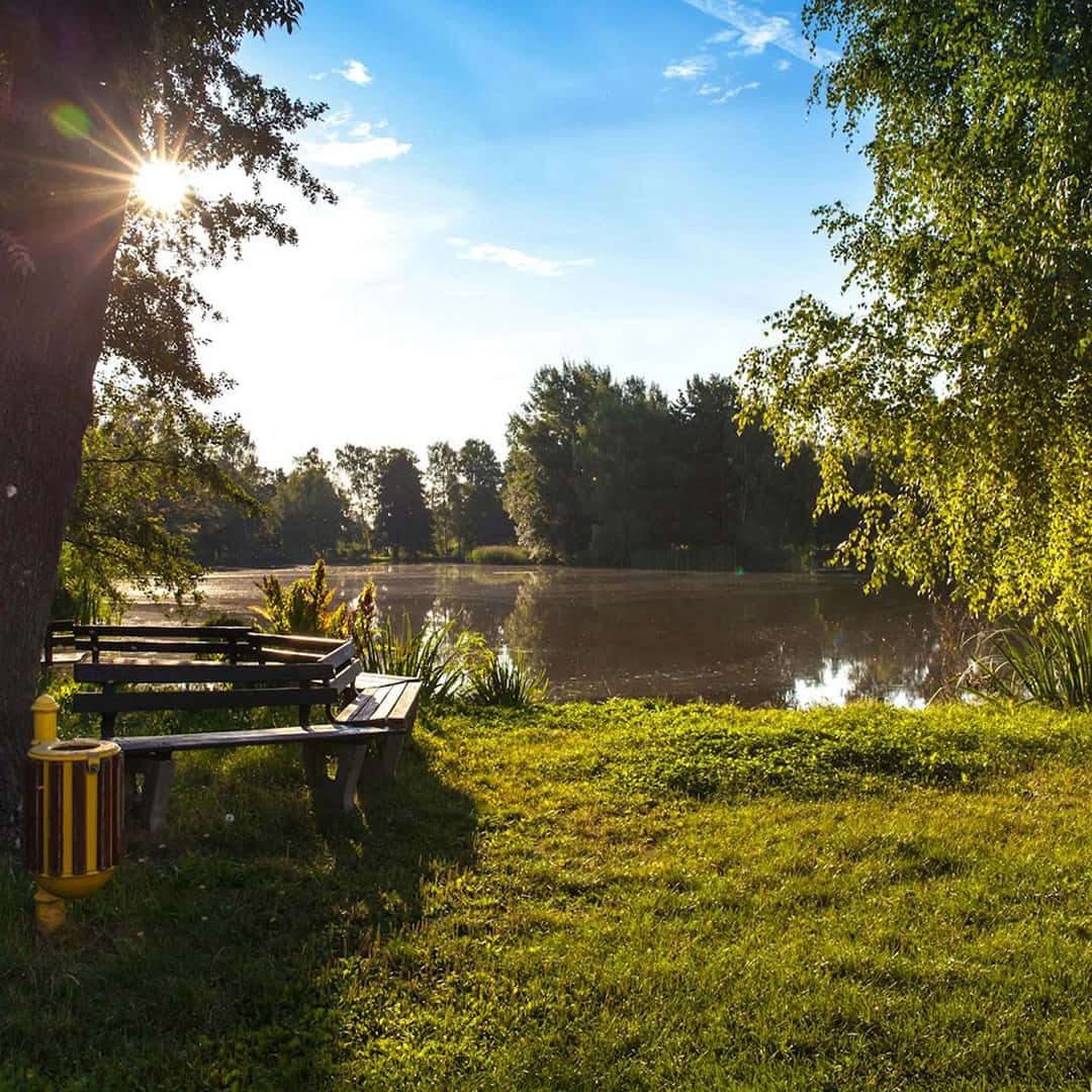 Pest control service for homes in Fort Lauderdale – In Touch Pest Control