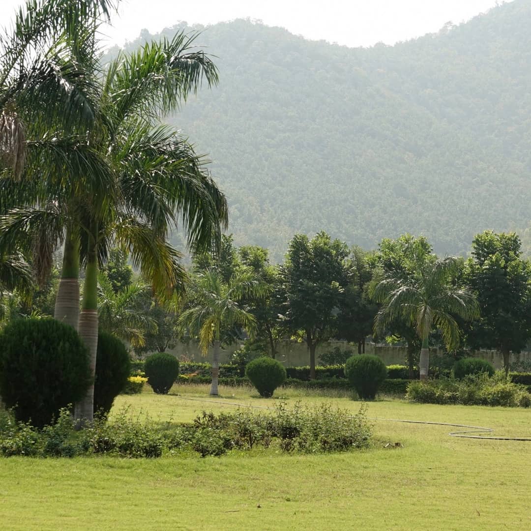 Pest control service service in Fort Lauderdale – In Touch Pest Control