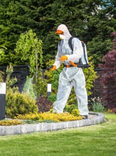 beautiful-garden-fertilization-job-2025-03-31-04-38-48-utc beautiful-garden-fertilization-job-2025-03-31-04-38-48-utc