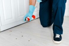 cropped-view-of-exterminator-in-latex-gloves-holdi-2024-11-10-23-17-08-utc cropped-view-of-exterminator-in-latex-gloves-holdi-2024-11-10-23-17-08-utc
