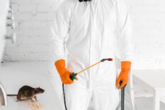 exterminator-holding-toxic-spray-and-looking-at-ra-2024-11-15-12-42-36-utc-min exterminator-holding-toxic-spray-and-looking-at-ra-2024-11-15-12-42-36-utc-min
