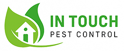 Pest control service in Fort Lauderdale – In Touch Pest Control