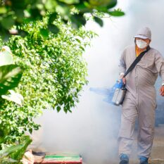 outdoor-healthcare-worker-is-spraying-chemical-to-2025-03-11-12-09-35-utc-min outdoor-healthcare-worker-is-spraying-chemical-to-2025-03-11-12-09-35-utc-min