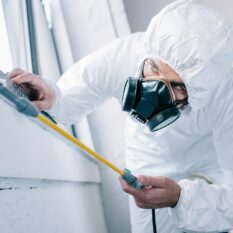 pest-control-worker-in-respirator-spraying-pestici-2024-11-18-22-19-26-utc-min pest-control-worker-in-respirator-spraying-pestici-2024-11-18-22-19-26-utc-min