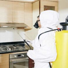 service-worker-desinfecting-all-surfaces-2025-01-31-00-48-59-utc service-worker-desinfecting-all-surfaces-2025-01-31-00-48-59-utc