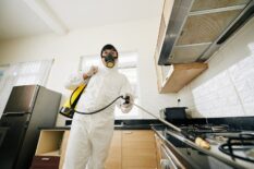 technician-spraying-chemicals-in-house-2025-02-11-13-52-49-utc-min technician-spraying-chemicals-in-house-2025-02-11-13-52-49-utc-min
