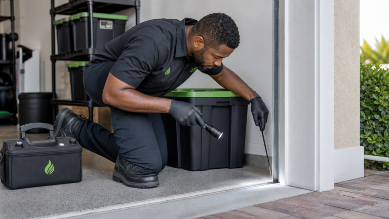 Black Caribbean In Touch Pest Control technician inspecting garage corners for spider activity